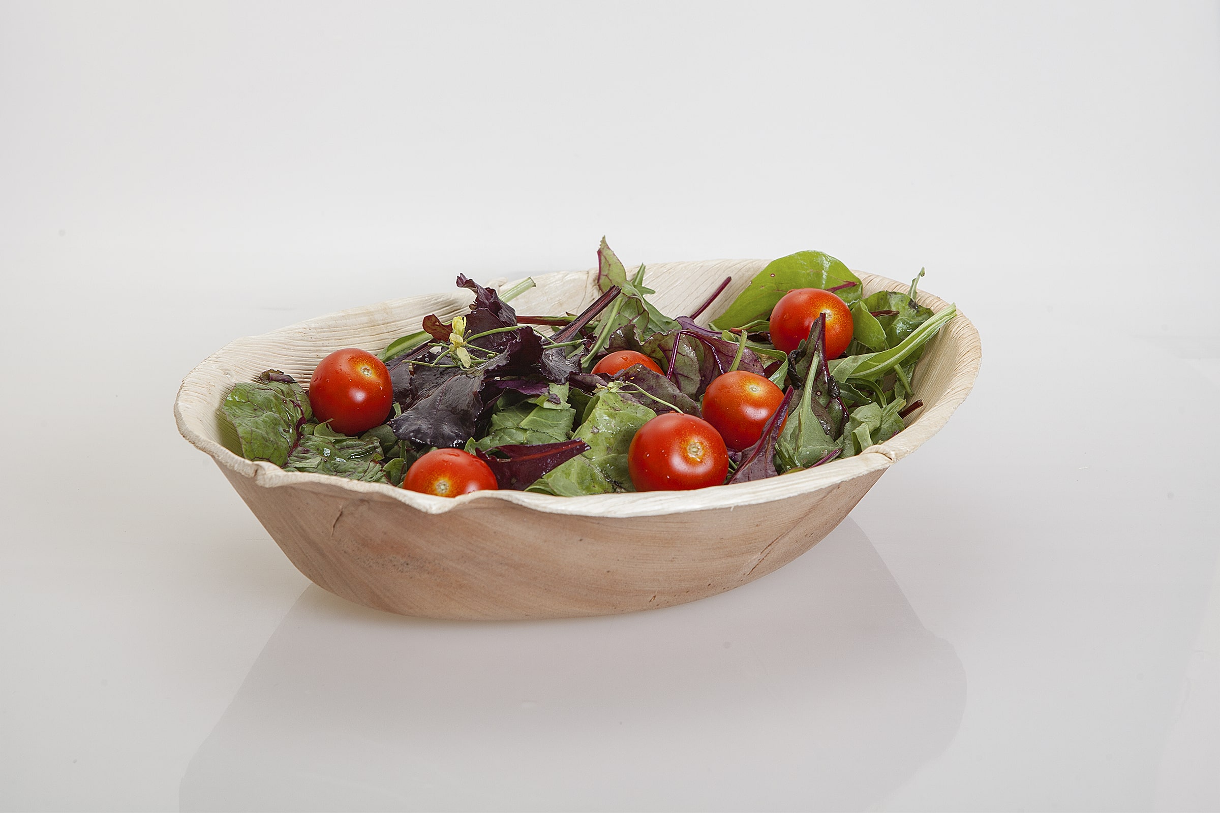 Areca leaf compostable plates